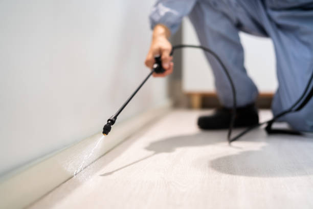 Licensed Pest Control service in East Bangor, PA - Show Me Pest Control