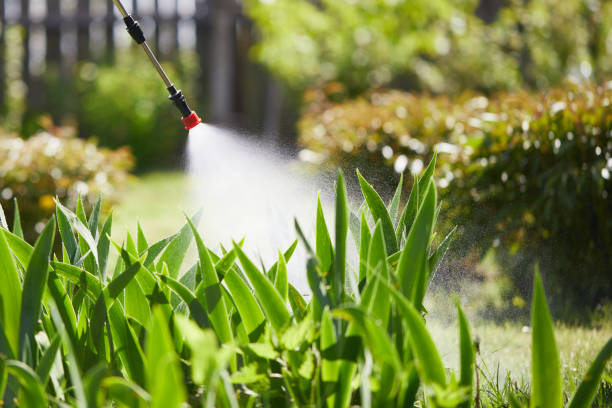 24/7 Emergency Mosquito Control experts in East Bangor, PA