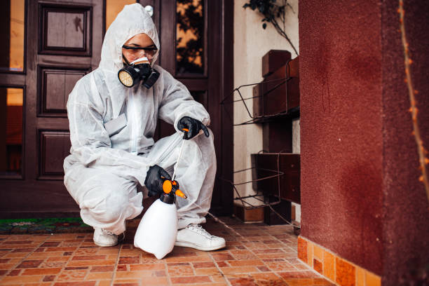 Reliable Mosquito Control contractor in East Bangor, PA by Show Me Pest Control