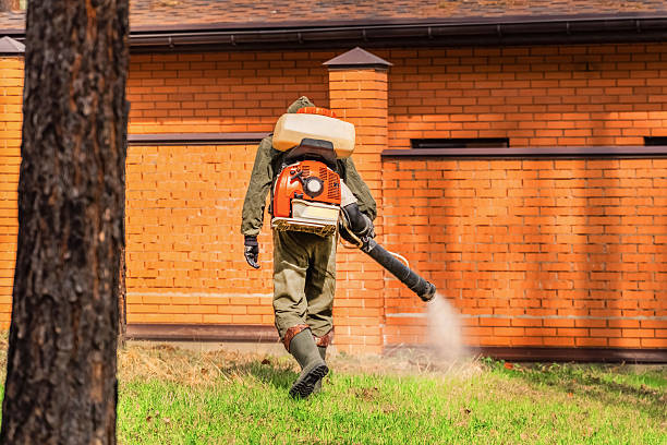 Top rated local Mosquito Control specialists in East Bangor, PA